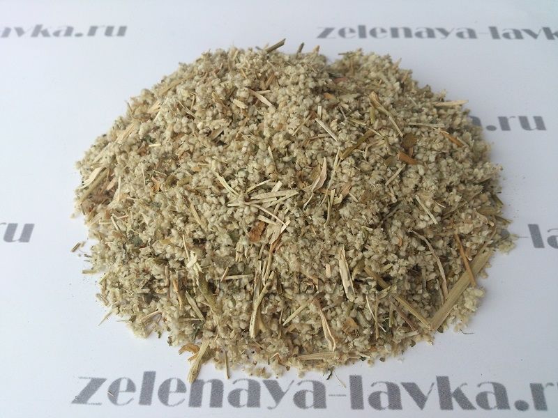 Эрва шерстистая (трава)